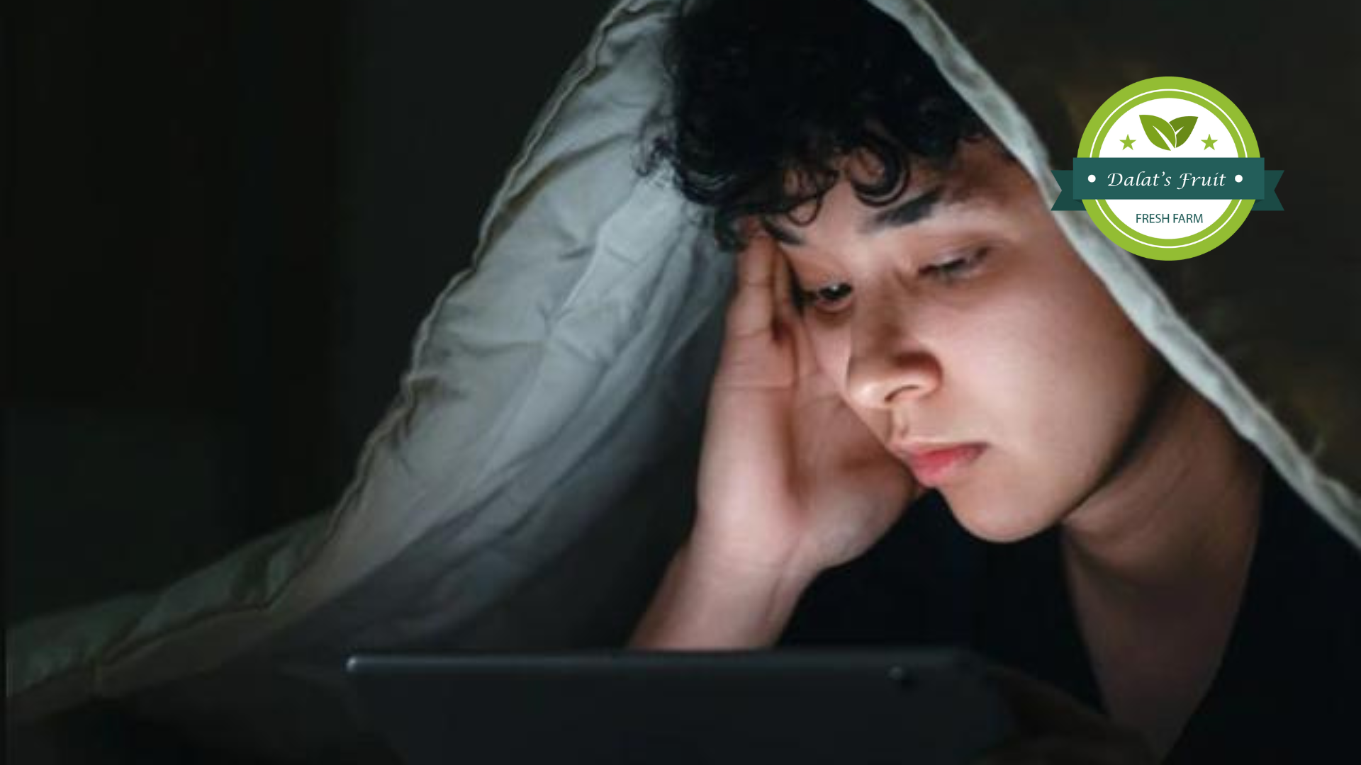 Thức khuya là việc vô cùng hại cho sức khỏe